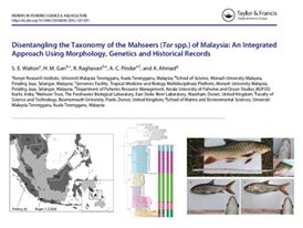 New paper on the taxonomy of Malaysian mahseers (Tor spp) in ‘Reviews in Fisheries Science and Aquaculture’
