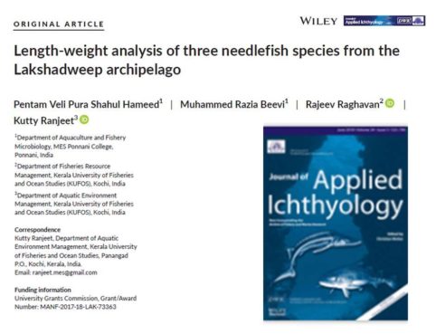 Understanding needlefishes of the Laccadive archipelago