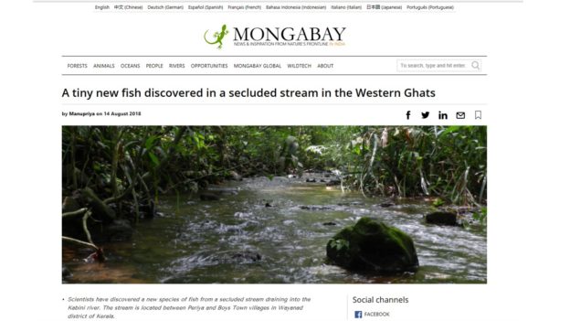 MongaBay covers new species description