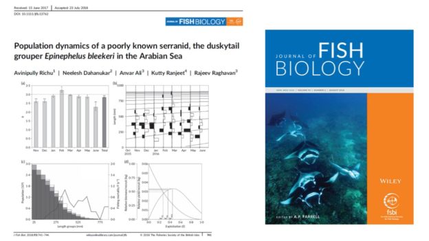 MSc student paper in Journal of Fish Biology