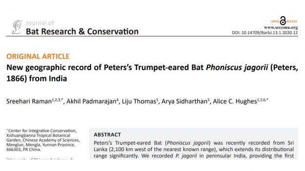 PhD students collaborate on a bat paper!