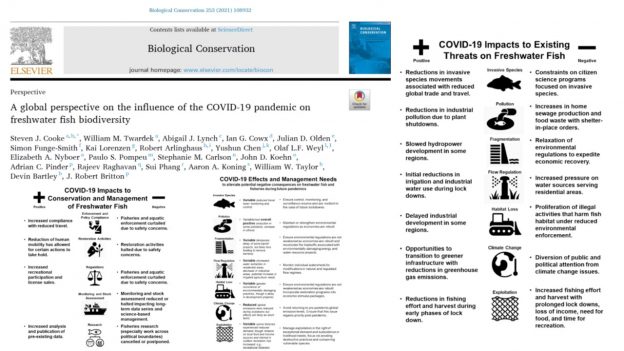 Synthesis of Covid-related impacts on global freshwater biodiversity published in Biological Conservation