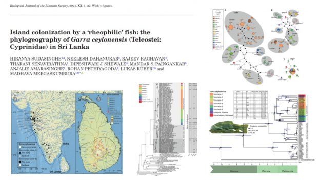 New Paper in Biological Journal of Linnean Society with colleagues from Sri Lanka