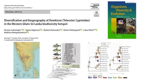 Western Ghats – Sri Lanka Biogeography from the lens of the filament barbs: new paper in Organisms Diversity and Evolution