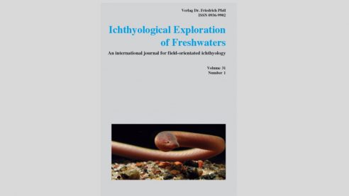 Paper on synbranchid eel makes it to the cover of Ichthyological Exploration of Freshwaters