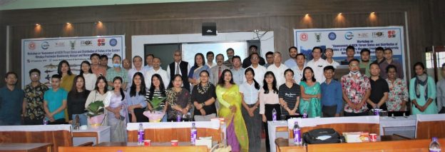 Lab members attend the IUCN Eastern Himalaya Fish Workshop at Manipur University