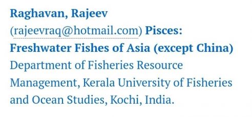 Lab PI appointed Editor of Zootaxa (Asian Freshwater Fishes)