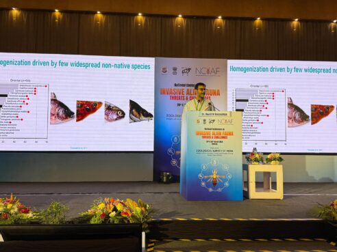 Lab PI gives a talk a tthe National Conference on Invasive Alien Fauna: Threats and Challenges (NCIAF) organised by the Zoological Survey of India