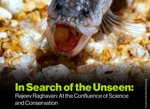 Lab PI Interviewed for ‘The Weekend Aquarist’