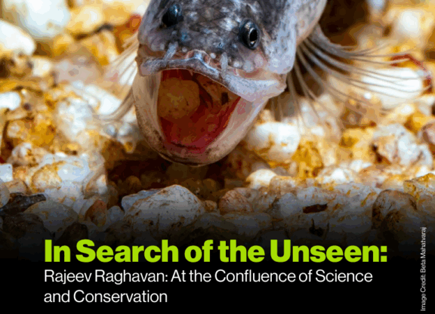 Lab PI Interviewed for ‘The Weekend Aquarist’